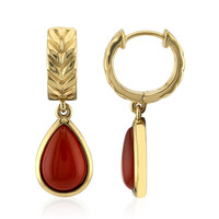 Orecchini in argento con Agata Rossa (TPC)
