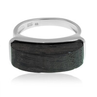 Anello in argento con Quercia Nera
