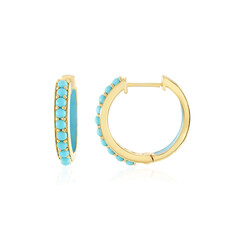 Orecchini in argento con Turchese Sleeping Beauty