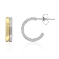 Orecchini in argento
