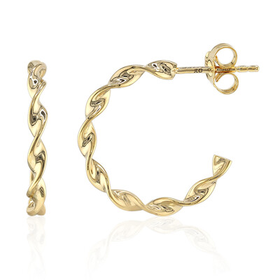 Orecchini in argento