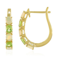 Orecchini in argento con Peridoto