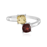 Anello in argento con Granato Mozambico