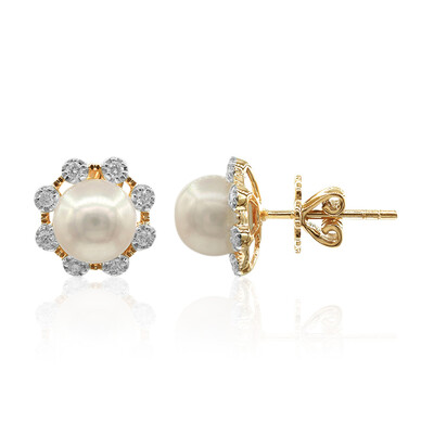 Orecchini in oro con Perla Akoya (TPC)