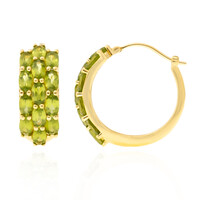 Orecchini in argento con Idocrasio