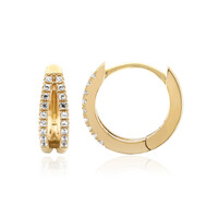 Orecchini in argento con Zircone