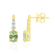 Orecchini in oro con Tsavorite del Kenya (Tenner Diniz)
