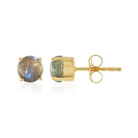 Orecchini in argento con Labradorite