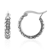 Orecchini in argento