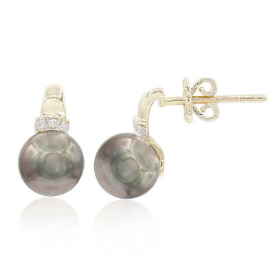 Orecchini in oro con Perla Tahitiana (TPC)