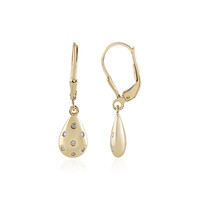 Orecchini in argento con Diamante I3 (J)