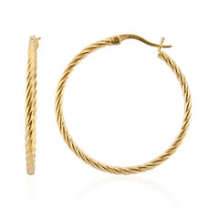 Orecchini in argento