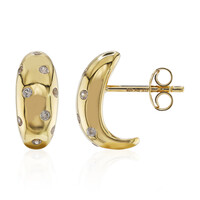 Orecchini in argento con Zircone