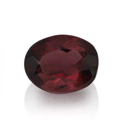 Gemma con Rubellite 0.374 ct