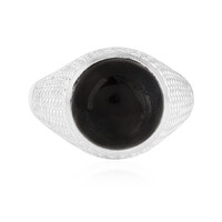Anello da uomo in argento con Onice Nero