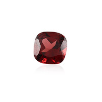 Gemma con Granato Mozambico 1,14 ct
