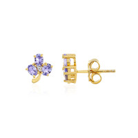 Orecchini in argento con Tanzanite