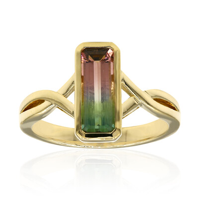Anello in oro con Tormalina Bicolore