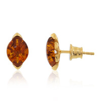 Orecchini in argento con Ambra Baltica