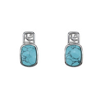 Orecchini in argento con Turchese