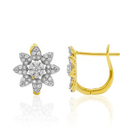 Orecchini in oro con Diamante IF (D)