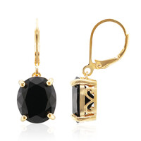 Orecchini in argento con Spinello Nero