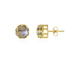 Orecchini in argento con Labradorite