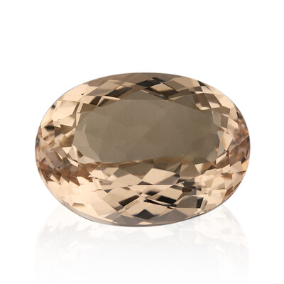 Gemma con Morganite Pesca