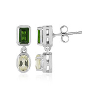 Orecchini in argento con Diopside Russo