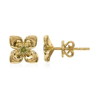Orecchini in oro con Diamante Giallo VS1