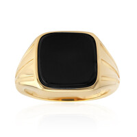 Anello in argento con Onice Nero