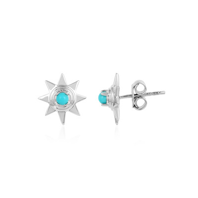 Orecchini in argento con Turchese