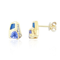 Orecchini in oro con Tanzanite