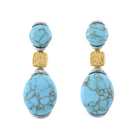 Orecchini in argento con Turchese