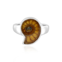 Anello in argento con Ammonite