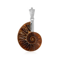Ciondolo in argento con Ammonite