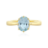 Anello in argento con Topazio Blu Cielo