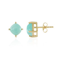 Orecchini in argento con Amazzonite