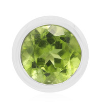 Ciondolo in argento con Peridoto