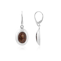 Orecchini in argento con Ambra Baltica
