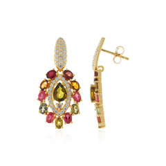 Orecchini in argento con Tormalina