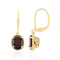 Orecchini in argento con Granato
