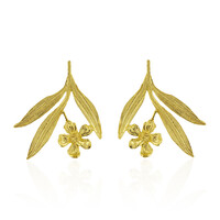 Orecchini in argento (Joias do Paraíso)