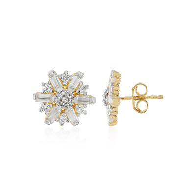 Orecchini in argento con Zircone