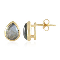 Orecchini in argento con Labradorite