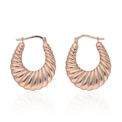Orecchini in argento