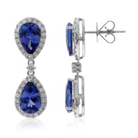 Orecchini in oro con Tanzanite AAA (CIRARI)