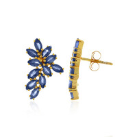 Orecchini in argento con Zaffiro Blu