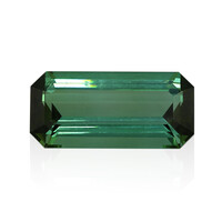 Gemma con Tormalina Verde