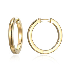 Orecchini in argento